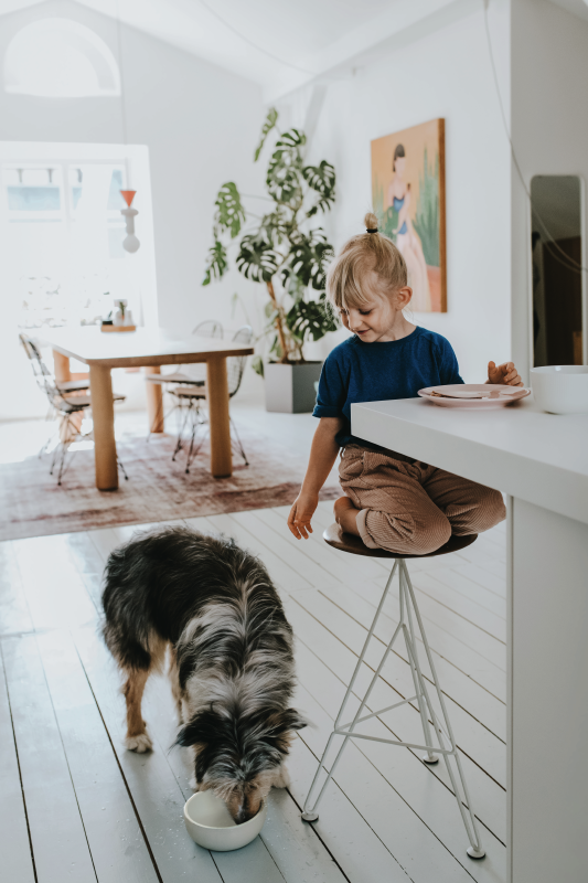 HUNTER Keramik-Napf Lund